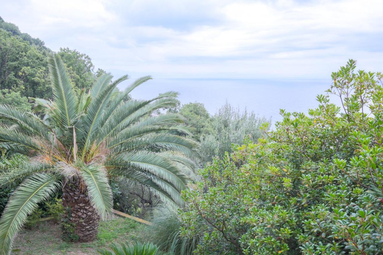 Villa Gio - Terrazza Nel Blu Bergeggi Exteriér fotografie